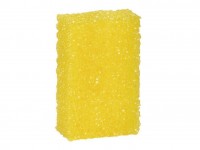 Insect sponge - for glass, Autosol